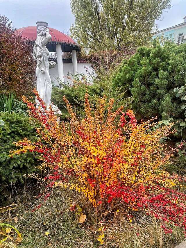 Гостиница Варваци Таганрог-102