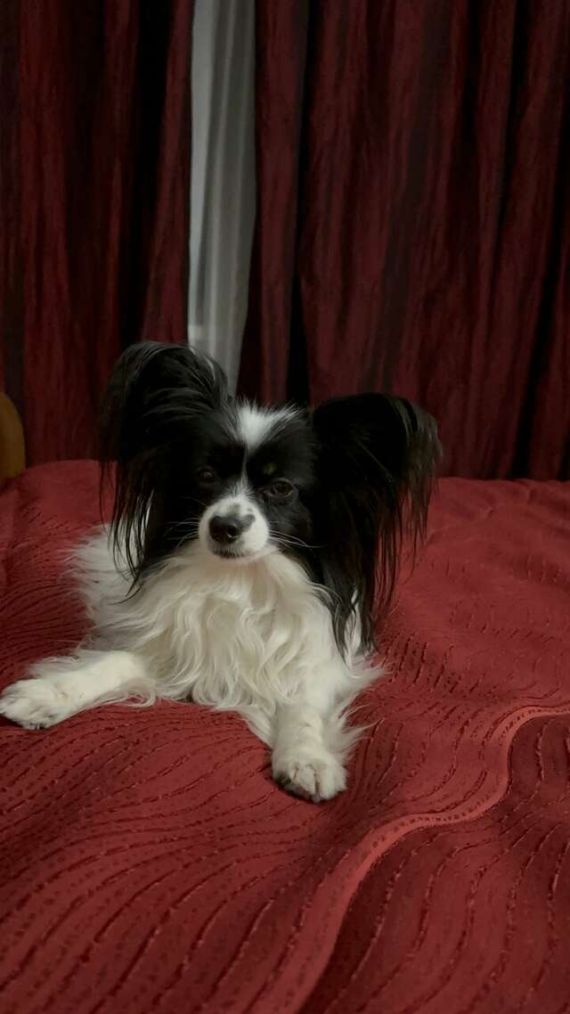 Гостиница Варваци Таганрог-110